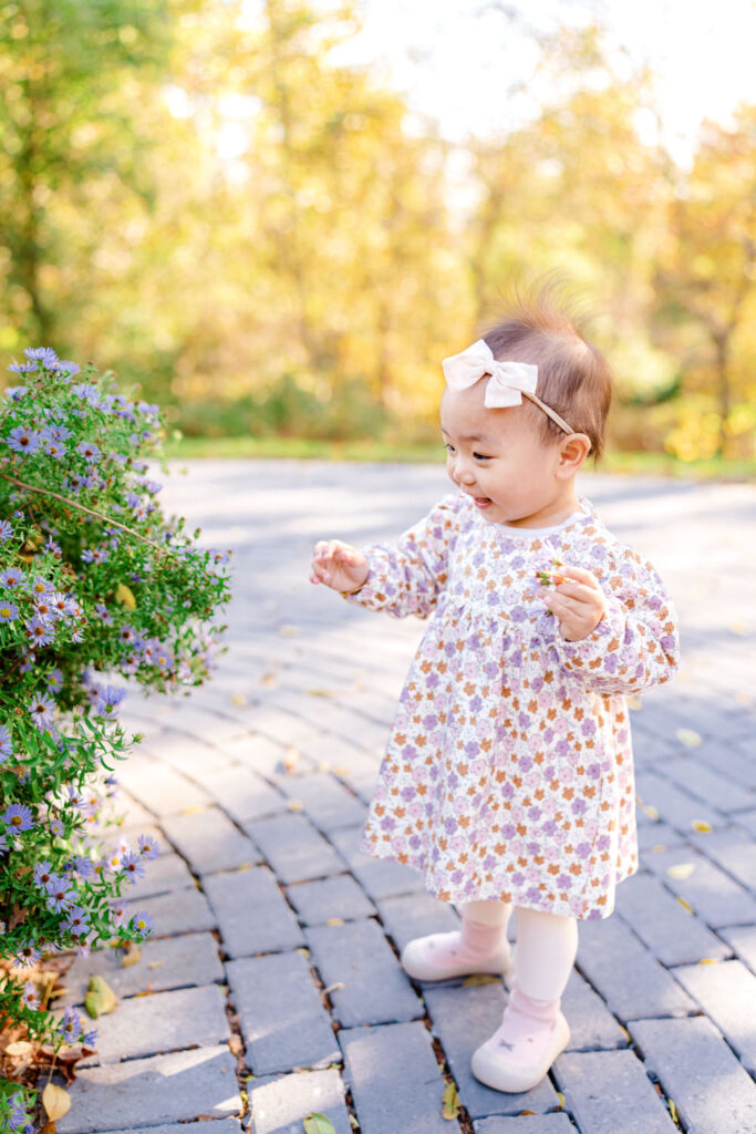 A baby toddles to a berry bush and smiles during her family's lifestyle photo session in Howard County, MD